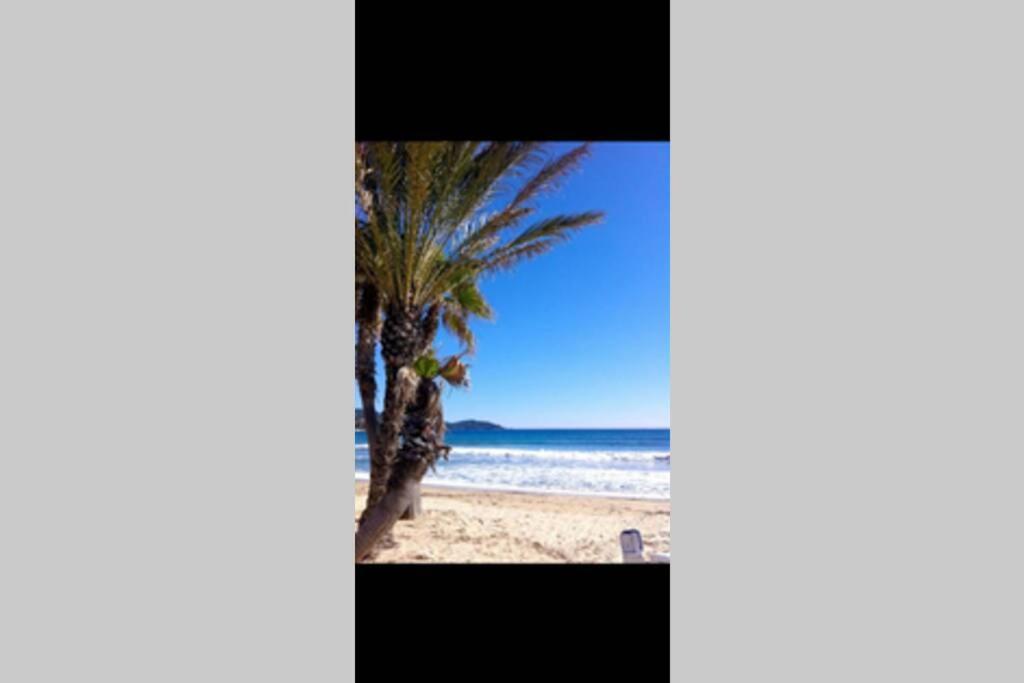 Au Petit Bonheur Vue Mer, Parking, 400M Plage 勒拉旺杜 外观 照片