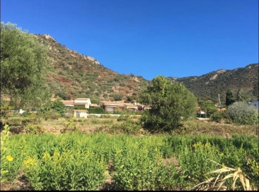 Au Petit Bonheur Vue Mer, Parking, 400M Plage 勒拉旺杜 外观 照片